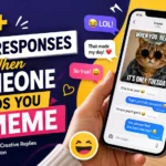 best responses when someone sends you a meme