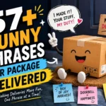 funny phrases for package delivered