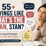 sayings like whats the plan stan