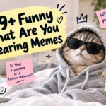 funny what are you wearing memes